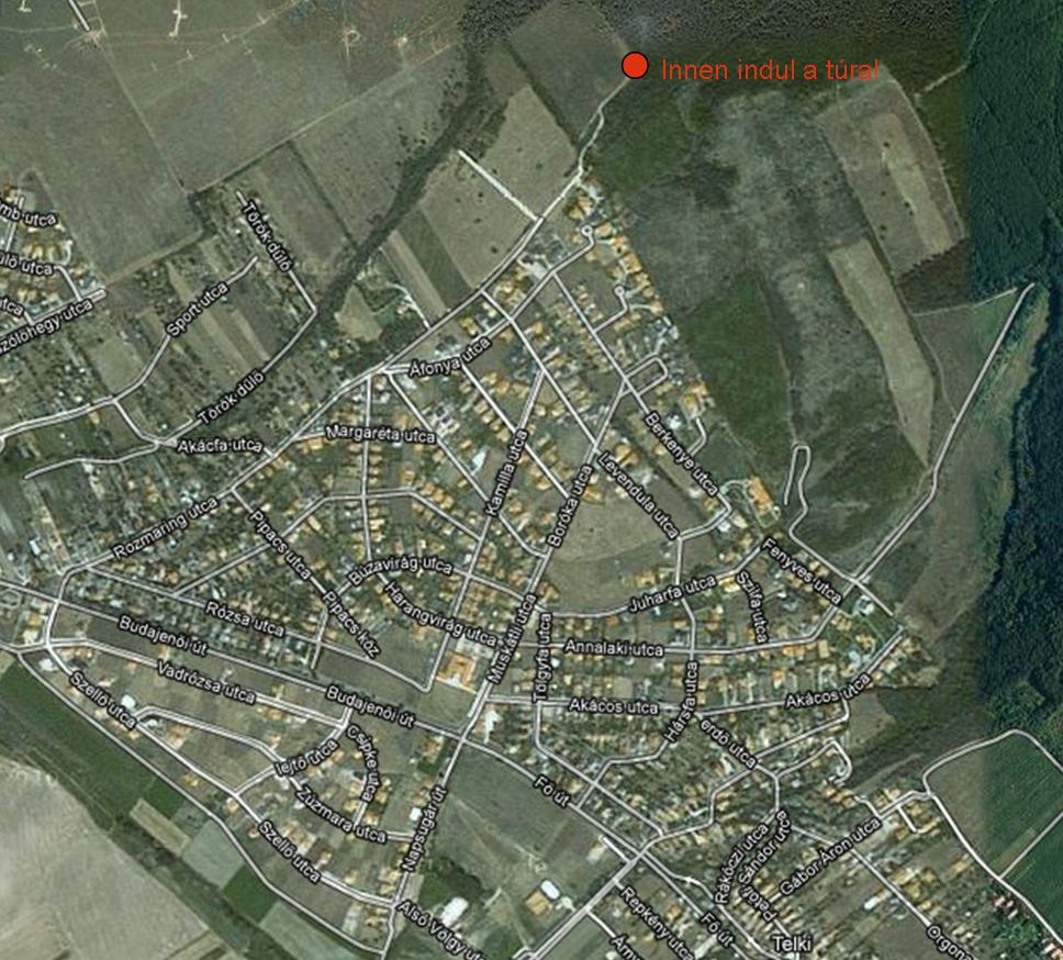 telki térkép Öreg tölgy tanösvény (Budai hg.)   terepgyerek telki térkép